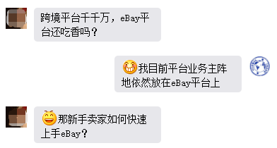 新手賣家如何玩轉eBay？系列答案我來告訴你