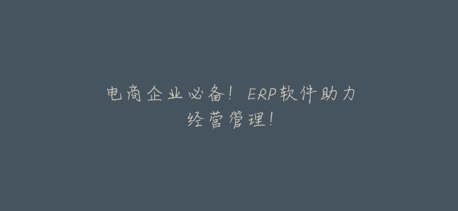 電商企業必備！ERP軟件助力經營管理！