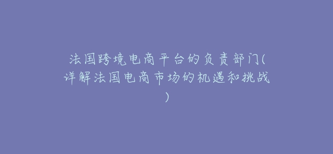 法國跨境電商平臺的負責部門(詳解法國電商市場的機遇和挑戰)