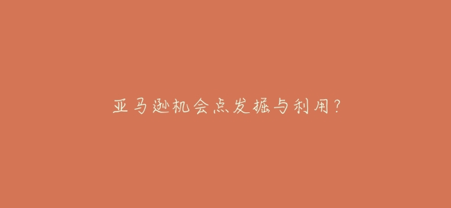 亞馬遜機會點發掘與利用?