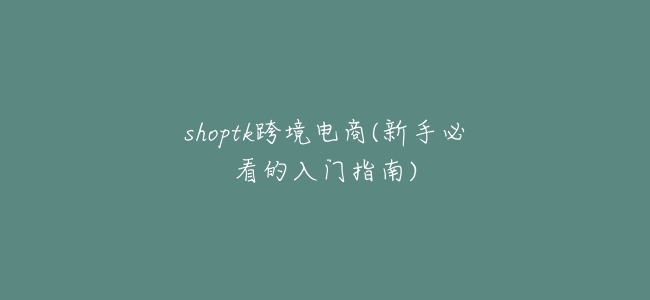 shoptk跨境電商(新手必看的入門指南)
