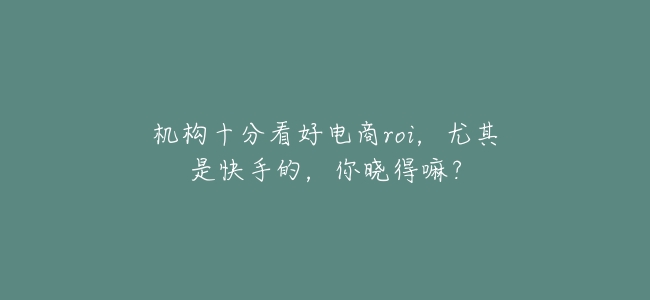 機構十分看好電商roi,尤其是快手的,你曉得嘛?