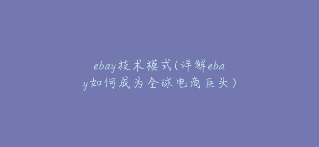 ebay技術模式(詳解ebay如何成爲全球電商巨頭)