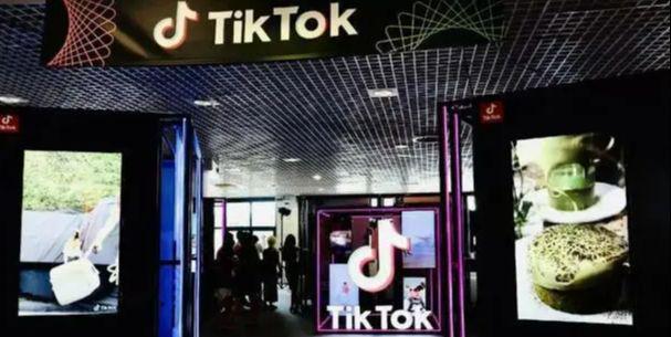 如何在30天內，通過TikTok變現一萬美金。按照我的方法，你也可以！