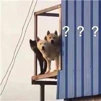 亞馬遜白帽玩法打法-是什麼意思運營技巧有沒有前途