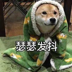 大批量亞馬遜店鋪出現風險警告！會員日前又有大動作？