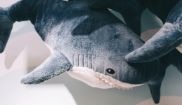 廠家月出數萬單、4天吸粉1.2萬，“鯊魚毯”在TikTok賣瘋了！