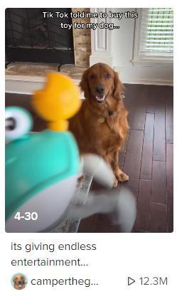 新手做TikTok：類目選對，流量翻倍！（上）