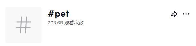 新手做TikTok：類目選對，流量翻倍！（上）