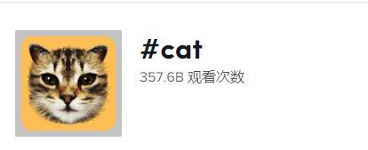 新手做TikTok：類目選對，流量翻倍！（上）