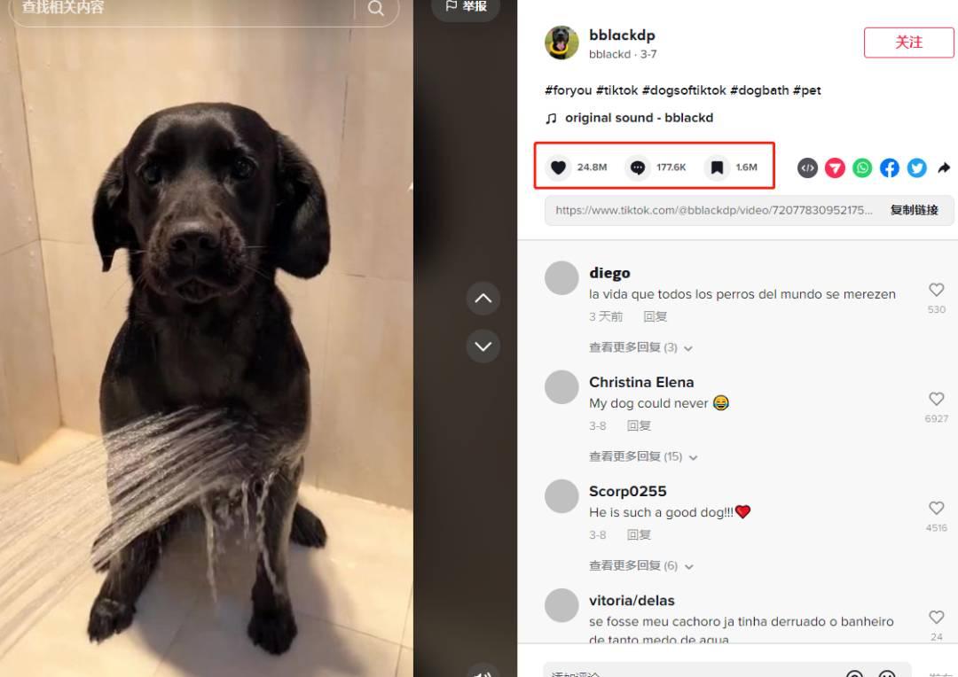 新手做TikTok：類目選對，流量翻倍！（上）