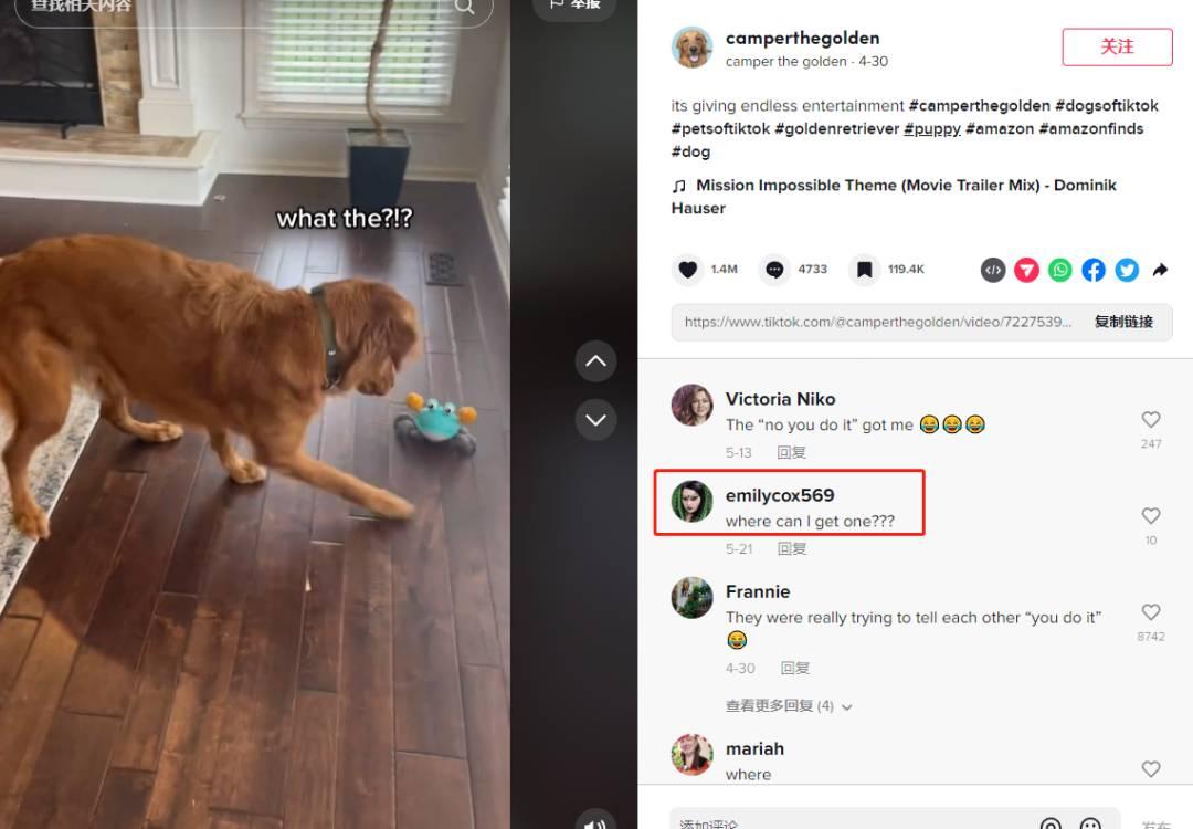 新手做TikTok：類目選對，流量翻倍！（上）
