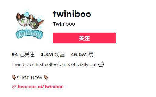 新手做TikTok：類目選對，流量翻倍！（上）