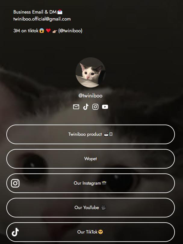 新手做TikTok：類目選對，流量翻倍！（上）