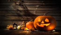 TikTok七天內超百萬曝光！萬聖節爆單機會來了