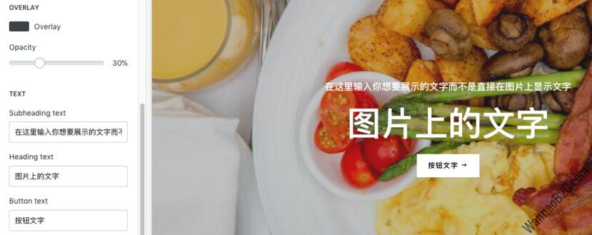 shopify主題設置