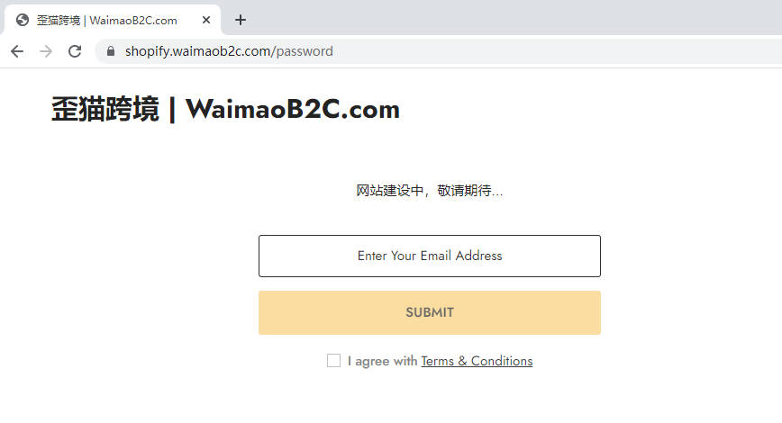 圖片[14]-Shopify 網站 Preferences 在線商店偏好設置教程 | 歪貓跨境 | WaimaoB2C-歪貓跨境 | WaimaoB2C