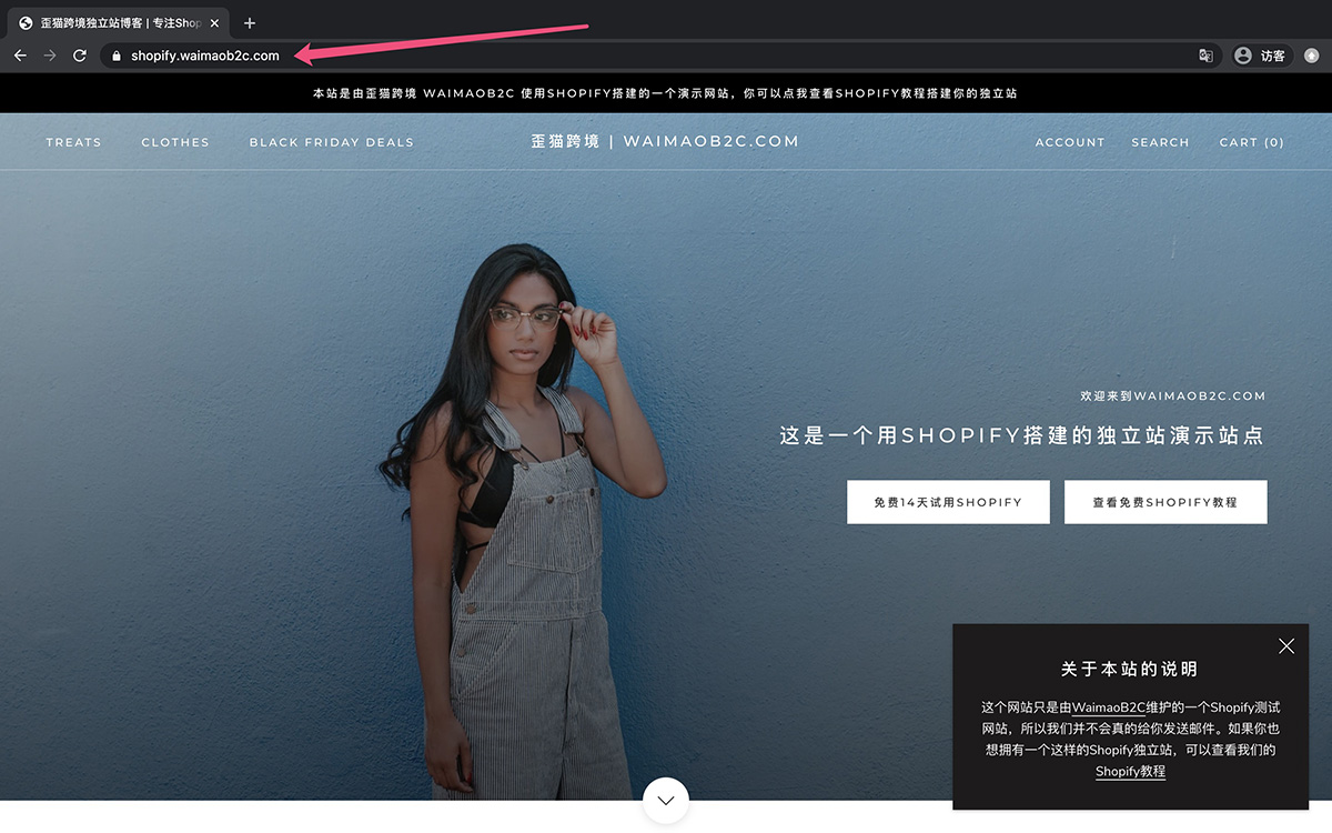 通過子域名訪問Shopify網站
