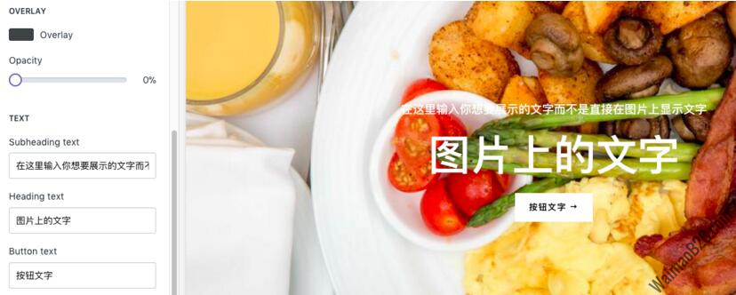 shopify主題設置