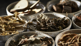 中藥出海：勇敢者的“遊戲”