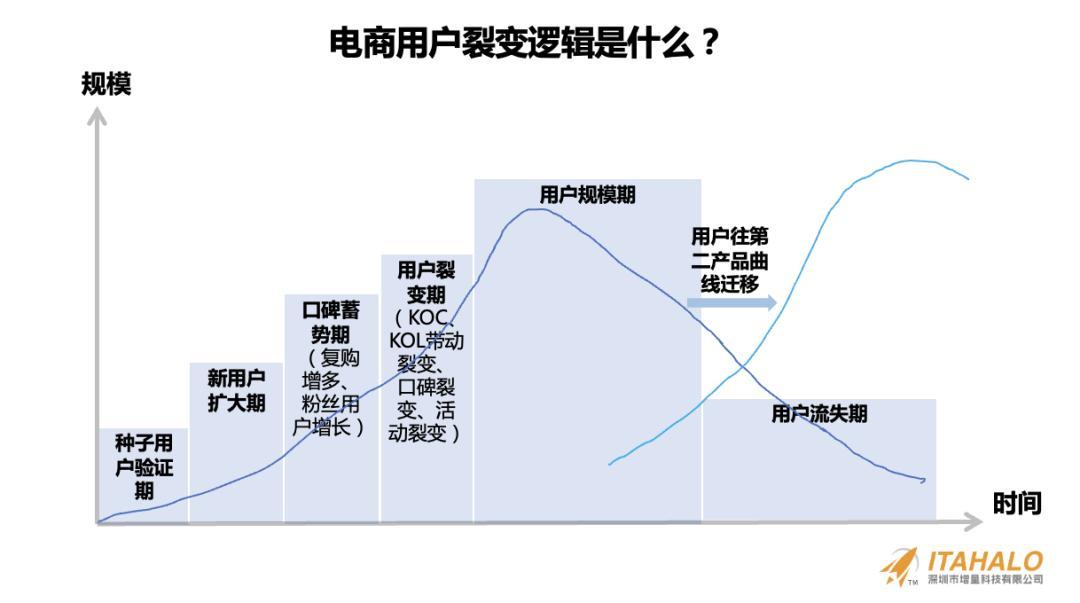 深度｜陳賢亭：向內生長，跨境10年增量之路