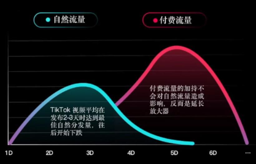 TikTok品牌賣家的四個爆品打造策略及打法沉澱