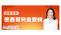 Amy聊跨境：墨西哥稅局突擊查稅！亞馬遜賣家須儘快合規！​