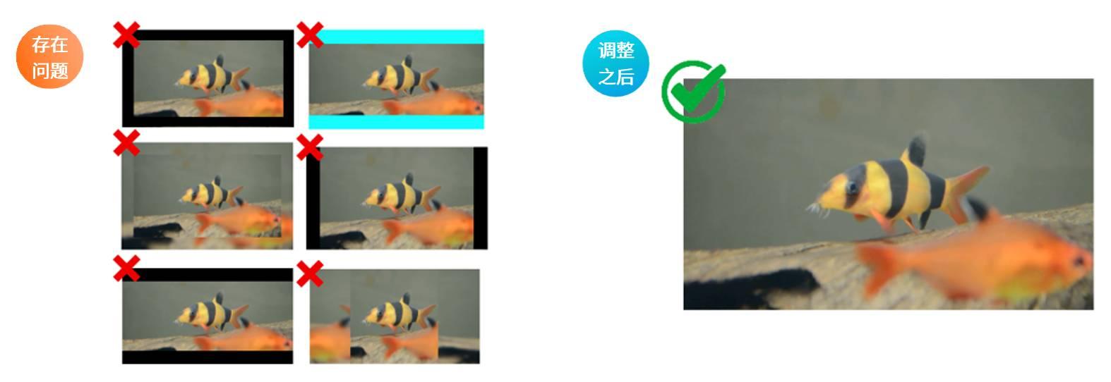 亞馬遜視頻製作保姆級教程（二）：一看就會！輕鬆搞定SBV視頻廣告