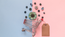 Ozon必看！快速瞭解產品質量監督規則