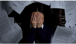 有棵樹孫公司破產清算申請被裁定受理！