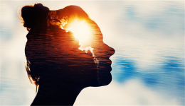 家居“換妝”需求高漲，eBay平臺相關品類迎來熱銷機遇