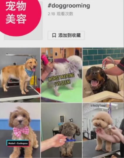 備戰2023黑五，TikTok Shop旺季爆品預測