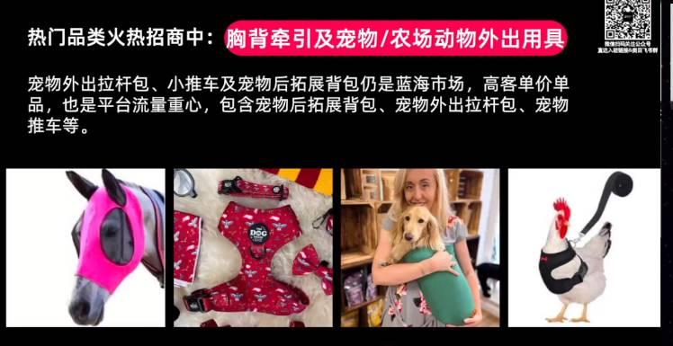 備戰2023黑五，TikTok Shop旺季爆品預測