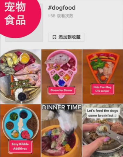 備戰2023黑五，TikTok Shop旺季爆品預測