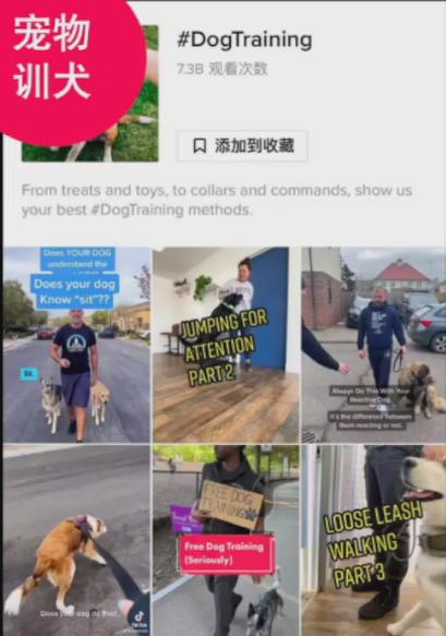 備戰2023黑五，TikTok Shop旺季爆品預測