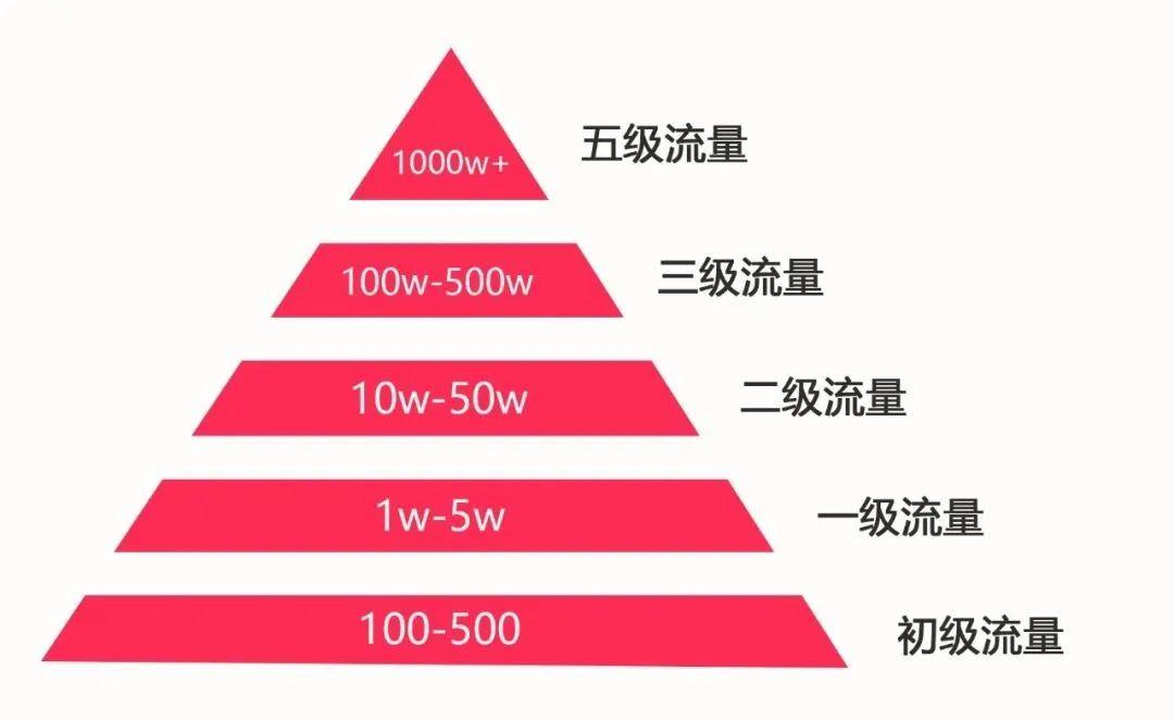 TikTok養號保姆級教程：學好這9招，你就是流量寵兒！