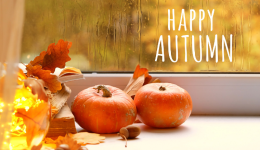 硬剛“黑五”！美區TikTok小店爲賣家提供高達50%的補貼，賣家旺季營銷攻略都在這裏！