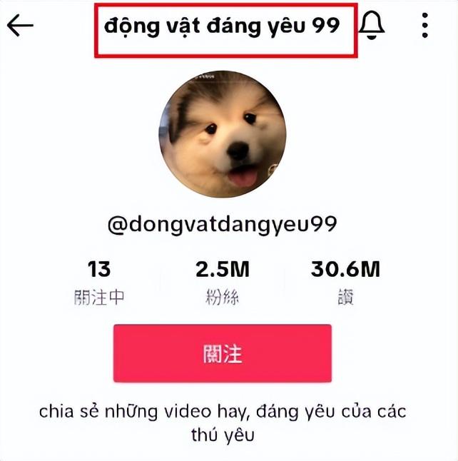 海外抖音Tiktok註冊圖文教程，儘快收藏！