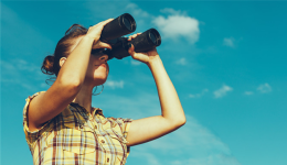 亞馬遜咬牙豁出去了一個類目, 與超低價Temu近身肉搏