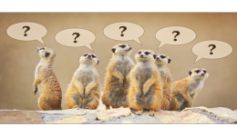 速賣通鑽展和直通車有什麼區別，兩種推廣的不同在哪