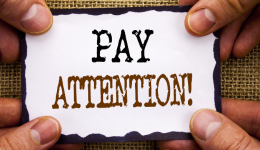 亞馬遜每日快報-2023年12月11日，星期一