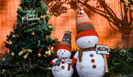 亞馬遜聖誕節戰略，通過長尾關鍵詞鎖定目標客戶