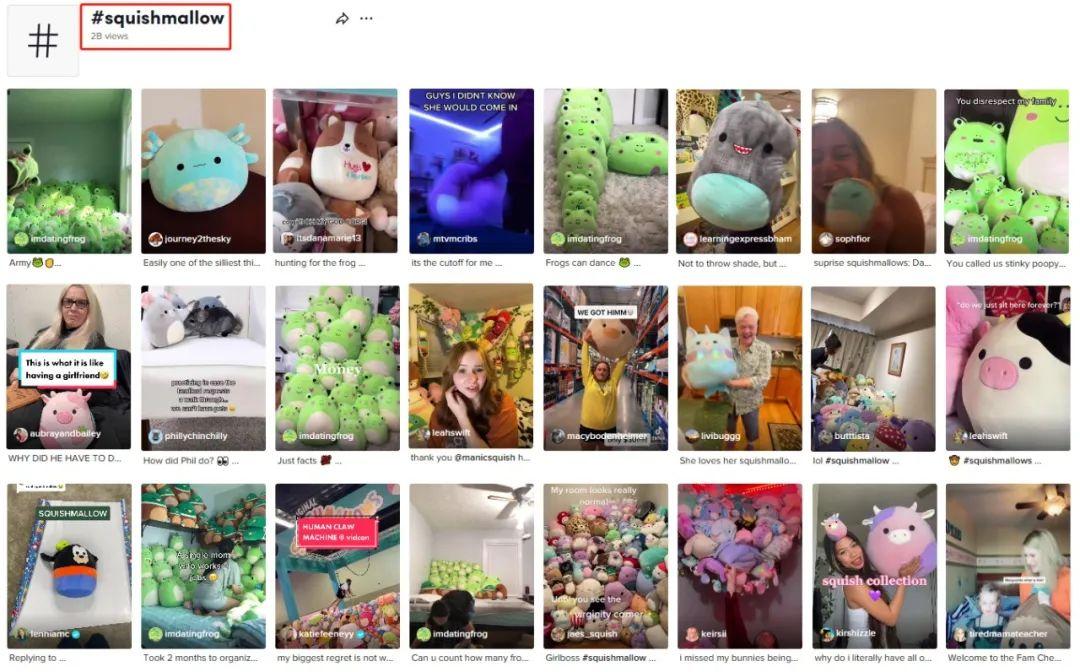 65億播放量爆紅TikTok ！年度玩具全球熱銷，高頻侵權發案不得不防！