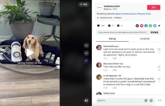 深圳大賣逆天改命，從瀕臨破產做到類目第一