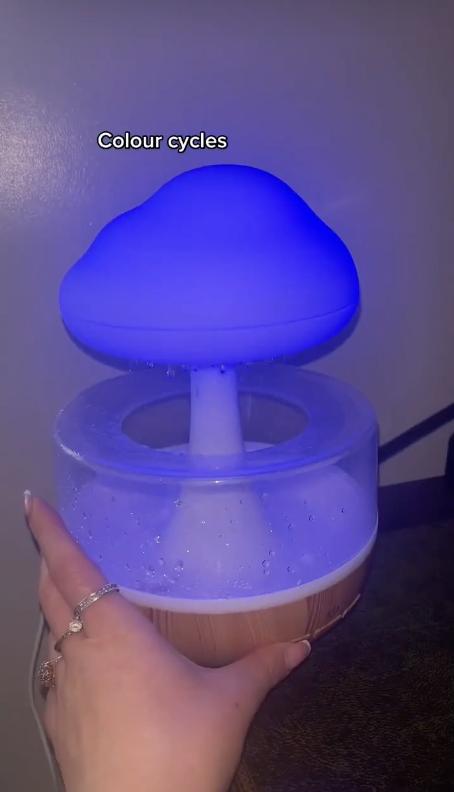 TikTok選品乾貨:奇形擴香器日銷千單!選品必看的高利潤新奇小玩意兒