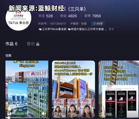 三隻羊進軍TikTok，亞馬遜賣家還衝嗎？水很深...