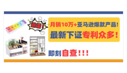 月銷10萬+亞馬遜爆款收納產品！最新下證專利衆多，即刻自查！