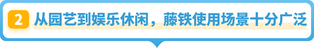 常被忽略卻在亞馬遜海外異常火爆！這個“冷門”品類商機藏不住了！
