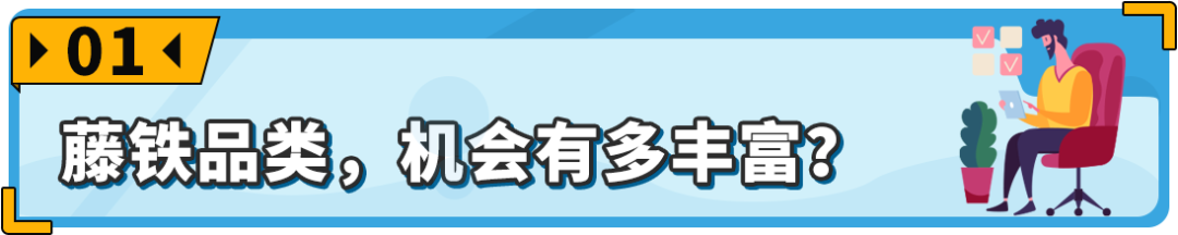 常被忽略卻在亞馬遜海外異常火爆！這個“冷門”品類商機藏不住了！