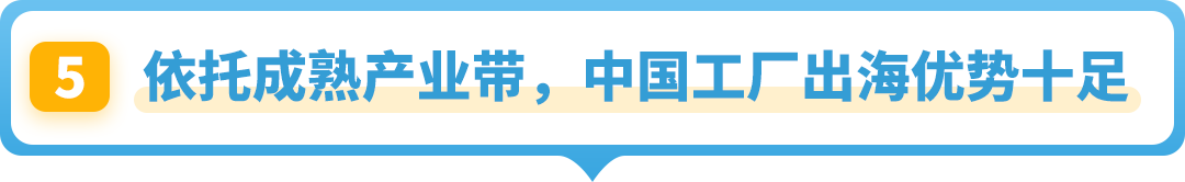 常被忽略卻在亞馬遜海外異常火爆！這個“冷門”品類商機藏不住了！